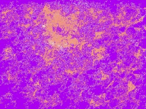 Color Mix 14 